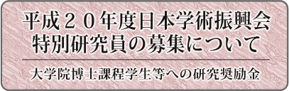 20Nx{wpUʌ̕Wɂ