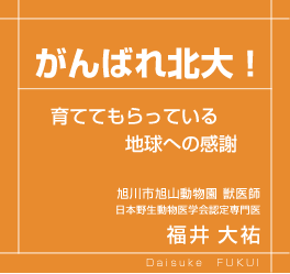 ΂kI