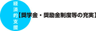 奨学金・奨励金制度等の充実