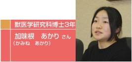 肳