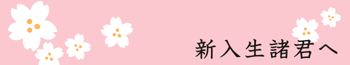 VN