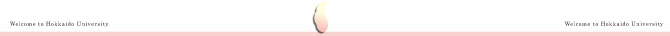 VN