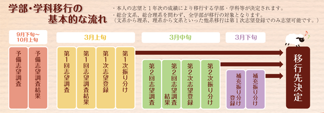 学部・学科移行の基本的な流れ