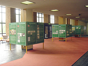 展示の様子