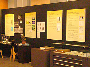 展示の様子
