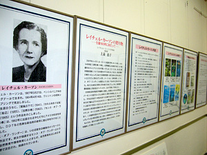 展示の様子