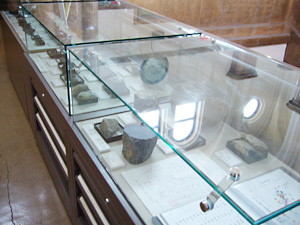 展示の様子
