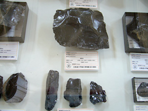 展示の様子