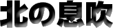 �k�̑���