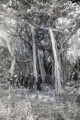 pPt̃KW}̑Oɂāi1915Nj