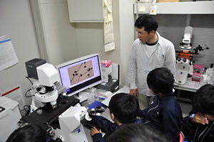 最新の顕微鏡を操作して花粉管が伸びる様子を観察しました