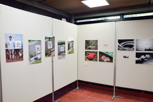 写真展の様子