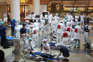 uÃZ^[iԁj̗lqiЊQÌPj