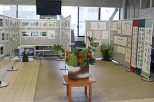 展示の様子