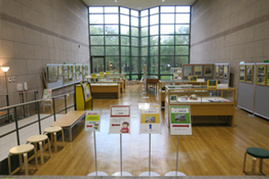 展示ホールの公開