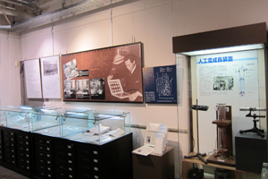 展示室の様子