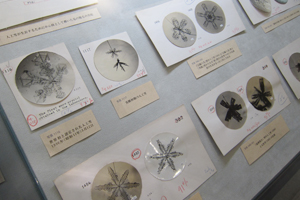 人工雪の顕微鏡写真