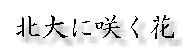�k��ɍ炭��