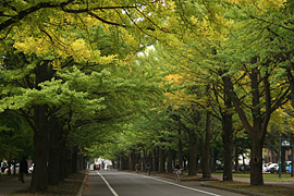 2010.10.13