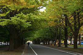 2010.10.19