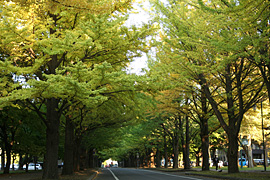 2010.10.21