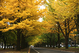2010.10.25