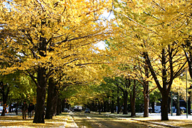 2010.10.21
