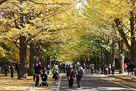 2010.10.31(1)