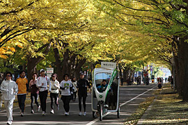 2010.10.31(2)