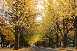 2010.11.05