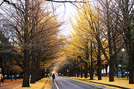 2010.11.11