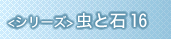 虫と石