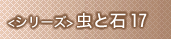 虫と石
