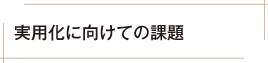 実用化に向けての課題