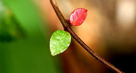 protop_tokutei11