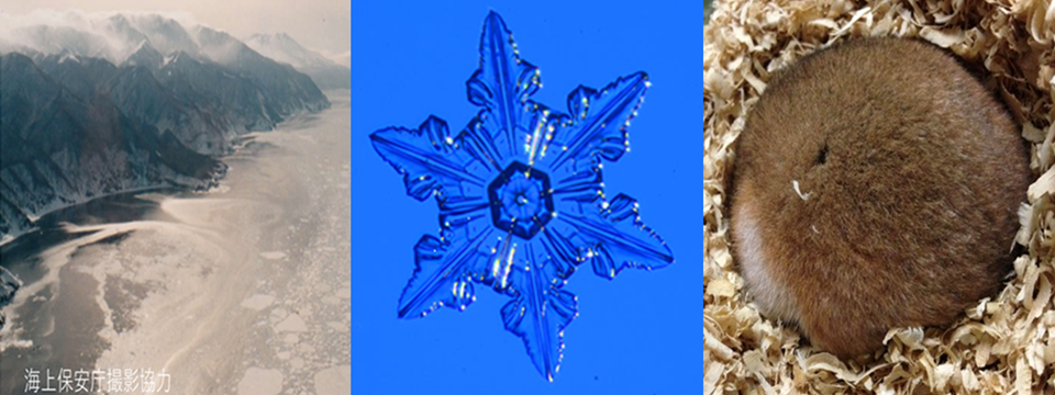 プロジェクトTOP