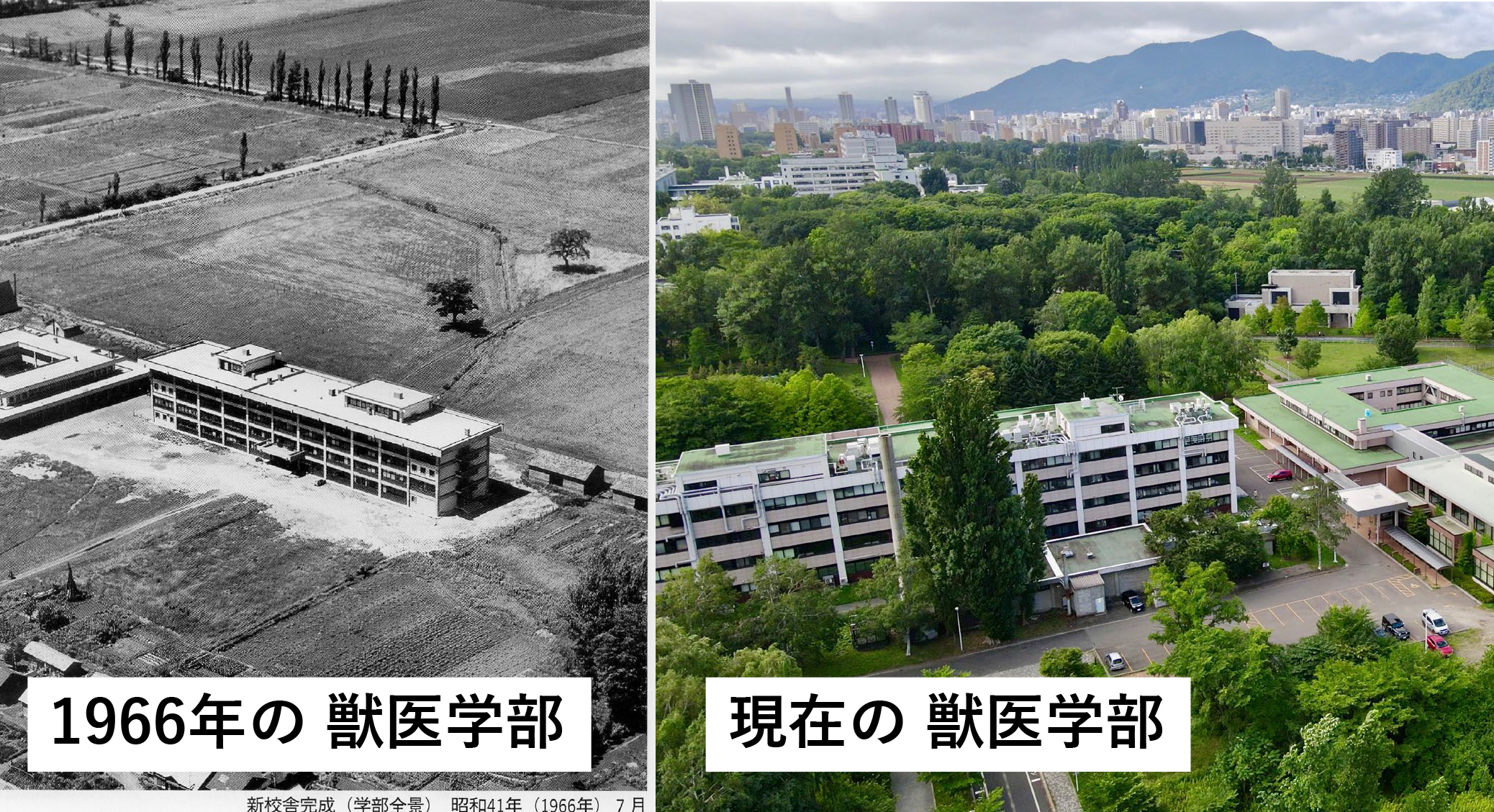 航空写真短い
