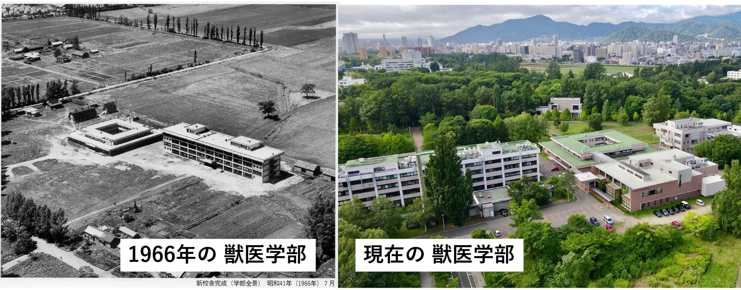 航空写真長い