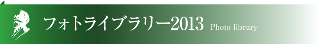 フォトライブラリー2013