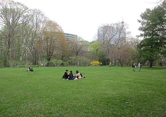 植物園の風景