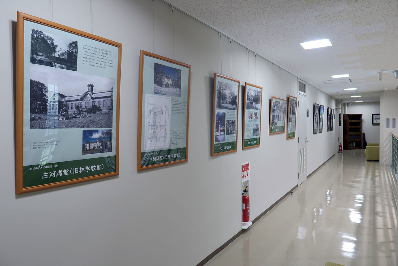 展示回廊