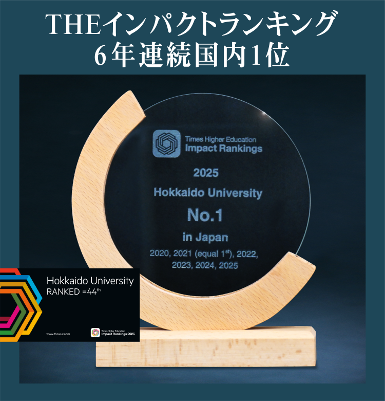 THE大学インパクトランキング