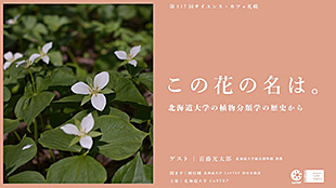第117回サイエンス・カフェ札幌「この花の名は。～北海道大学の植物分類学の歴史から～」