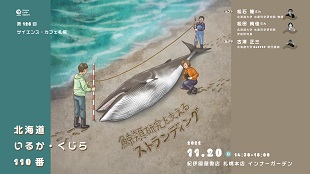 第126回サイエンス・カフェ札幌「北海道いるか・くじら１１０番～鯨類研究を支えるストランディング～」