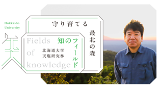 知のフィールド #8 北海道大学 天塩研究林「守り育てる最北の森」