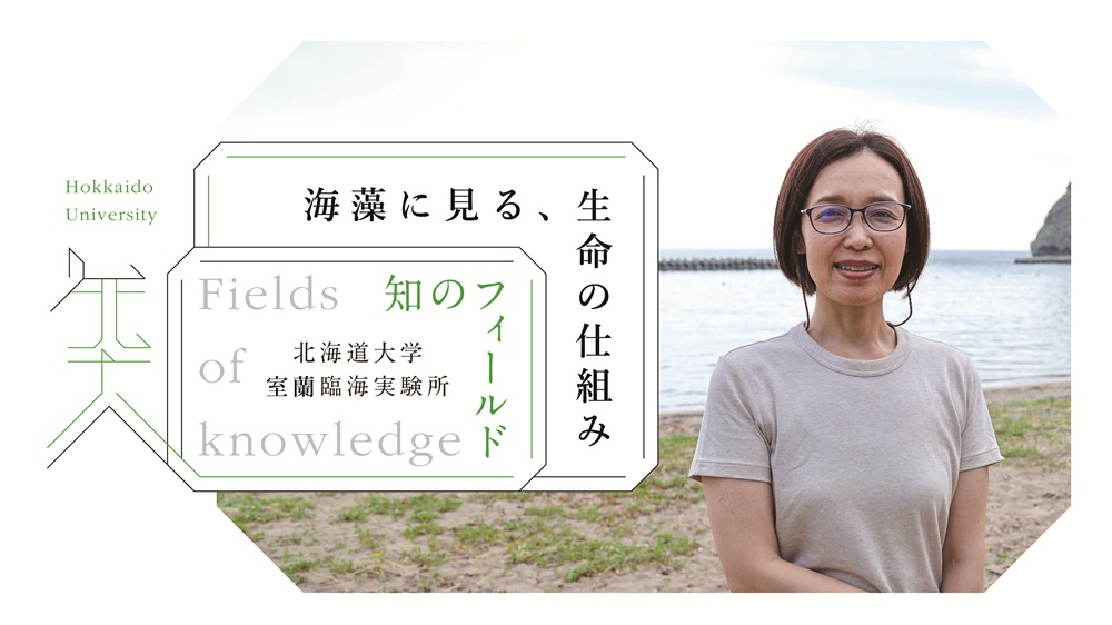 知のフィールド #9 北海道大学 室蘭臨海実験所「海藻に見る、生命の仕組み」