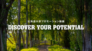 Discover Your Potential