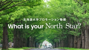 What is your North Star?