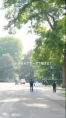（ショート版／横動画）How Students Describe Hokkaido University