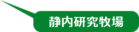 静内研究牧場